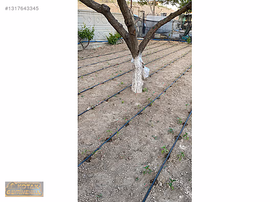 TOPAKKAYA MEDENİ BÖLGESİNDE HAZIR KURULU 700 M2 BAHÇE VE ARSASI - AKSARAY MERKEZ fotoğraf 14