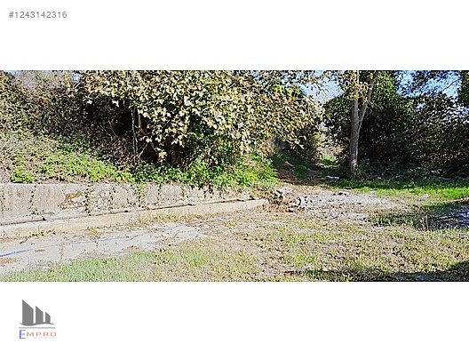 SÜPER KONUMDA KÖY İÇİ YATIRIMLIK %5 İMARLI VERİMLİ ARAZİ - SAKARYA ADAPAZARI fotoğraf 4