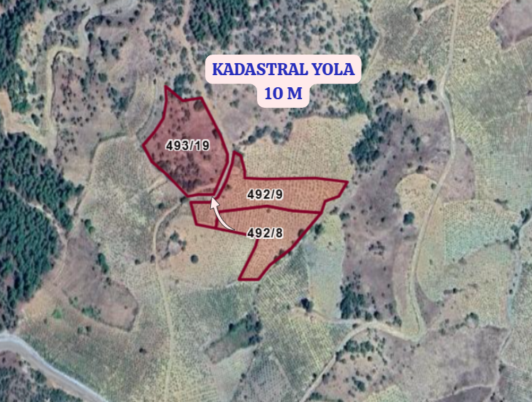 KONYA HADİM GÖYNÜKKIŞLA  KÖYÜ’NDE 3.541 M² BAĞ SATILIKTIR - KONYA HADİM fotoğraf 3