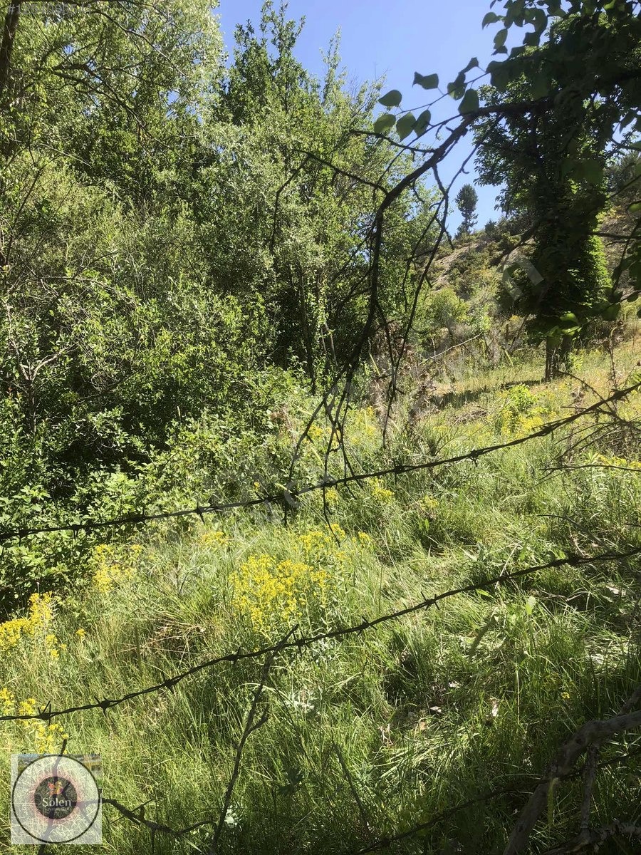 KÜTAHYA EMET ÇERTE KÖYÜNDE SATILIK TARLA - KÜTAHYA EMET fotoğraf 29