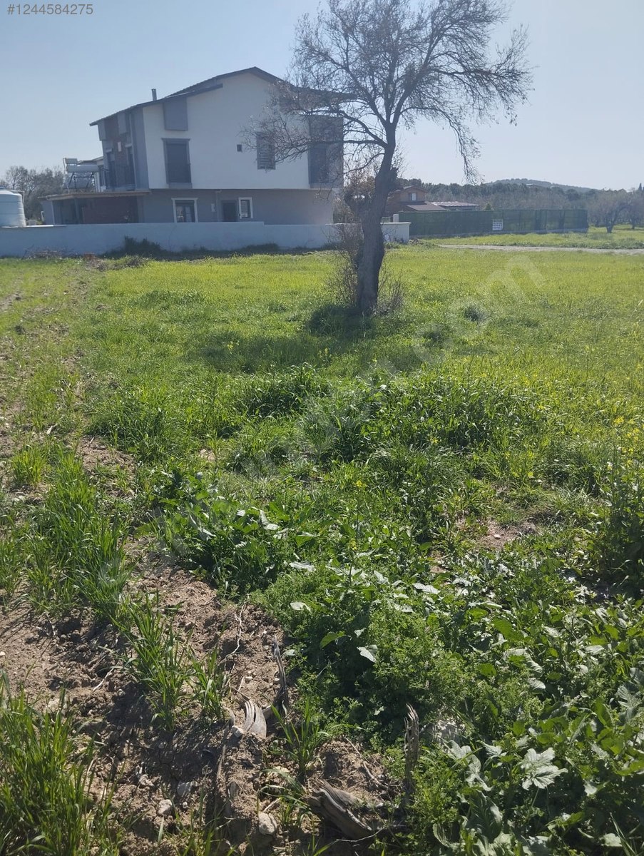 İZMİR ALİAĞA AŞAĞIŞAKRAN MAHALLESİ’NDE 303 M² ARSA SATILIKTIR - İZMİR ALİAĞA fotoğraf 3