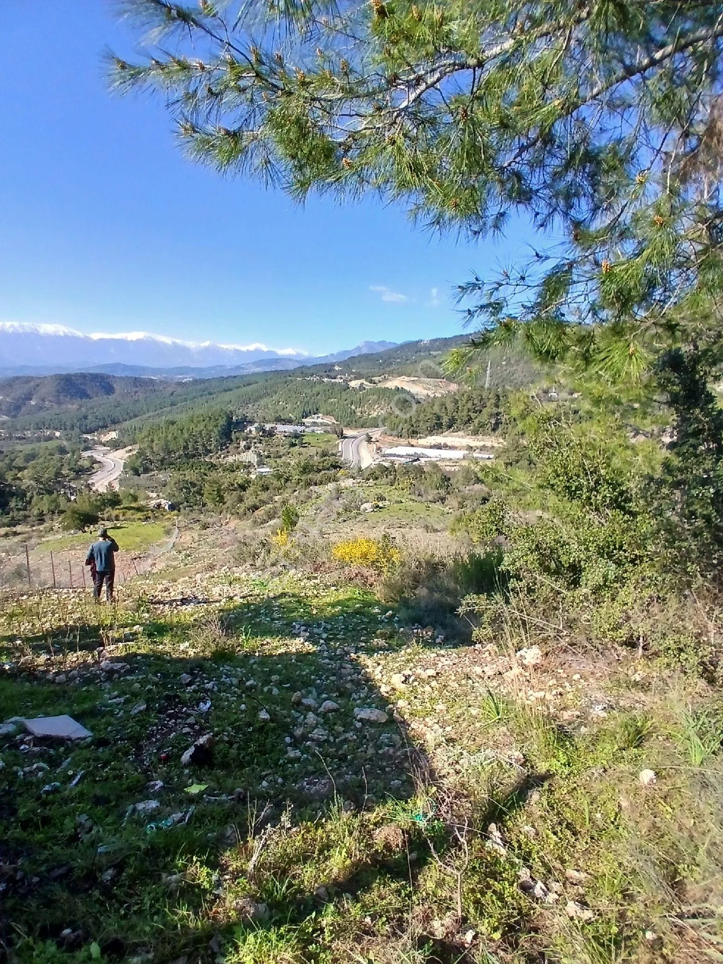 Belen Mahallesinde Satılık 3583 M2 Arsa - ANTALYA KUMLUCA fotoğraf 5