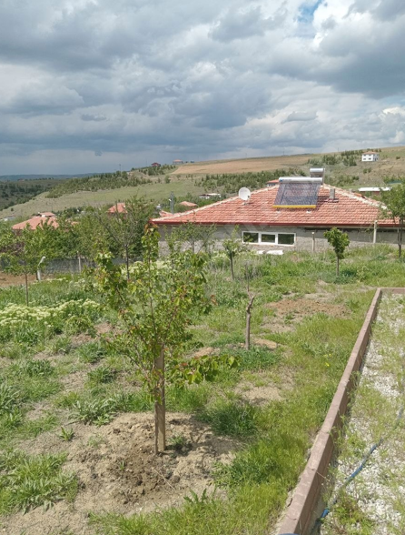 ANKARA ELMADAĞ HASANOĞLAN BAHÇELİEVLER KÖYÜNDE 435 M² ARSAMIZ  SATILIKTIR - ANKARA ELMADAĞ fotoğraf 3