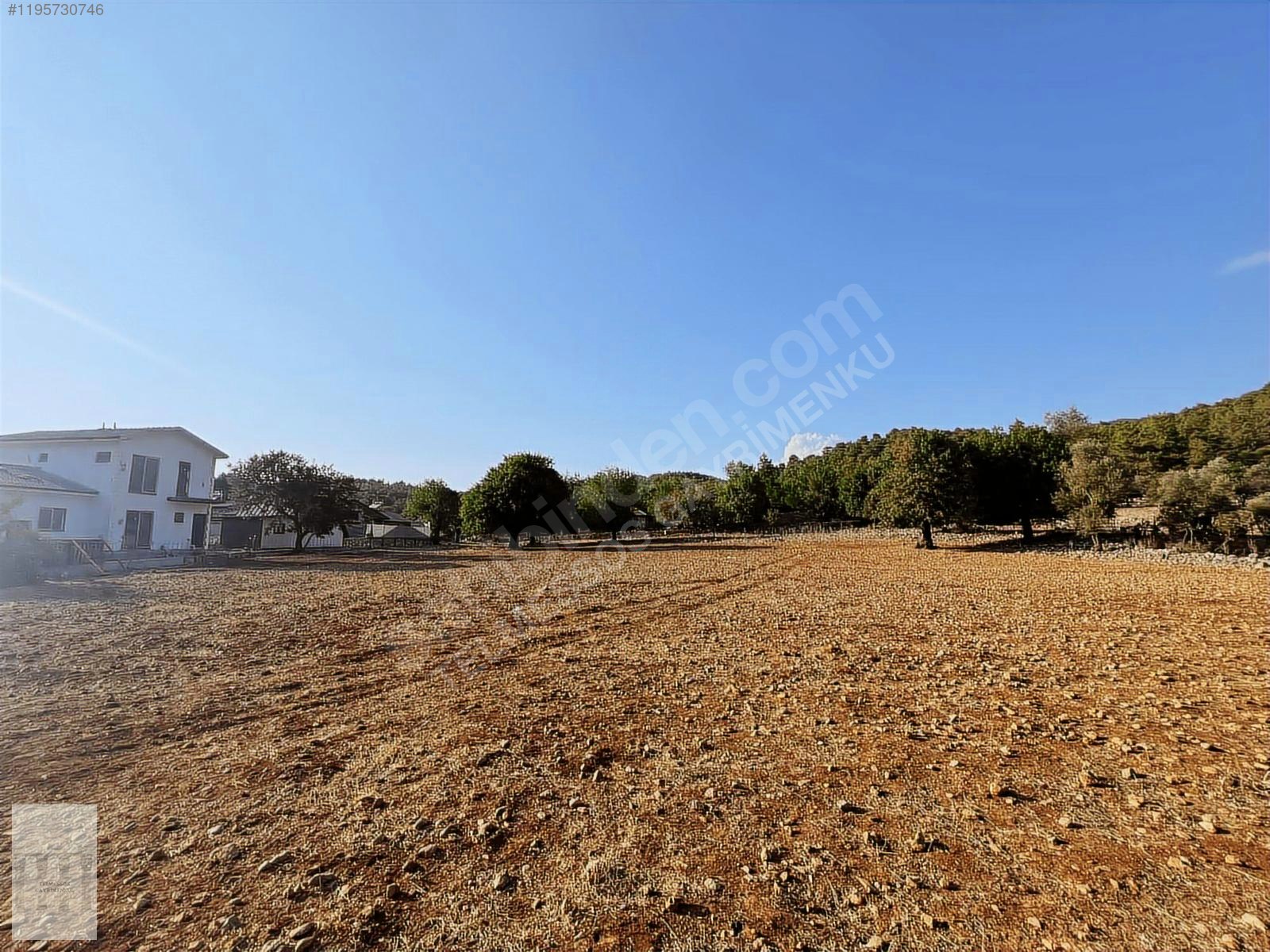 KAYAKÖYDE SATILIK RIZAİ TAKSİMLİ YATIRIMLIK 5300 m2 TARLA