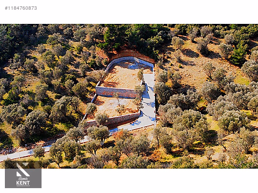 Kemalpaşa Sütçüler Satılık 873 m2 Zeytinlik - İZMİR KEMALPAŞA fotoğraf 9