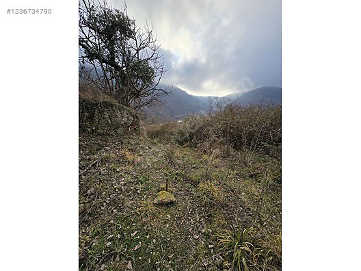 Değirmendere yaylasında tek tapu SATILIK ARSA 480 M²  - HATAY İSKENDERUN fotoğraf 8