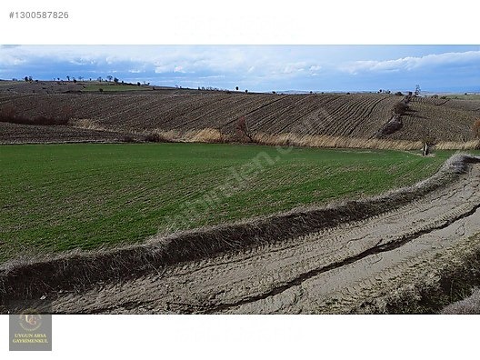 SAMSUN HAVZA KOCAPINAR'DA 4.754 M2 UYGUN ARSA - SAMSUN HAVZA fotoğraf 5