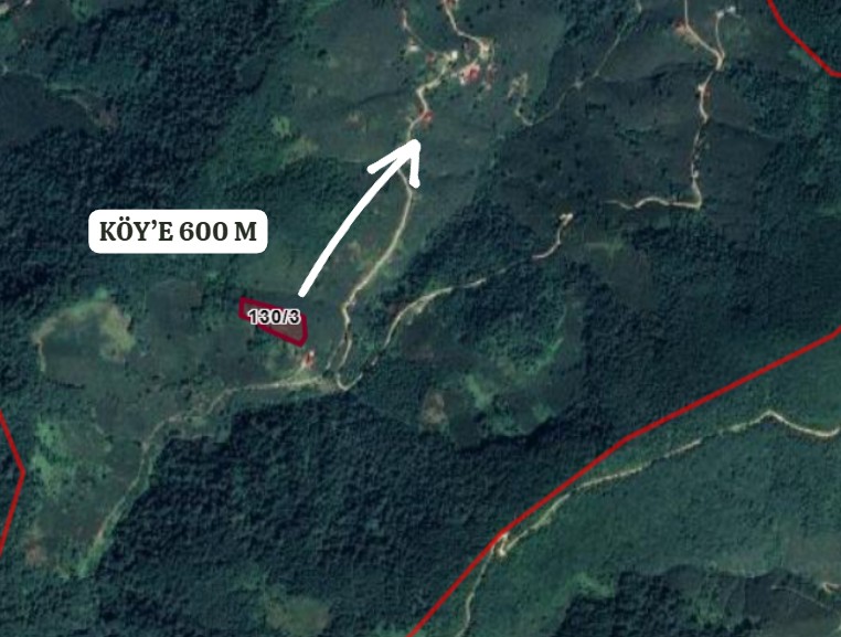 GİRESUN PİRAZİZ GÜZELKÖY KÖYÜ’NDE 7.289 M² FINDIK BAHÇEMİZ SATILIKTIR - GİRESUN PİRAZİZ fotoğraf 5