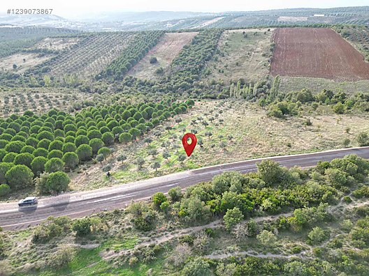 BURSA KARACABEY DOĞLA 'DA 8.600  M²  TARLA  SATILIKTIR. - BURSA KARACABEY fotoğraf 5