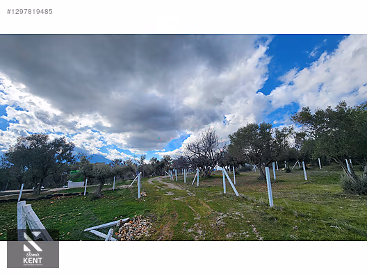 Kemalpaşa Sütçüler Satılık 331 m2 Bahçe - İZMİR KEMALPAŞA fotoğraf 39