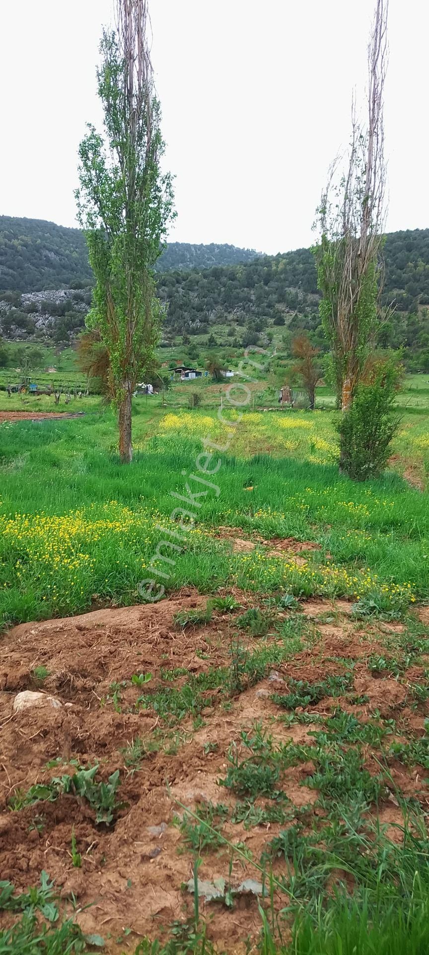 İlan Resmi