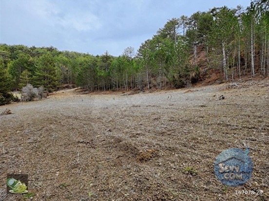 🚨 KÜTAHYA / ALTINTAŞ'TA DOĞANIN İÇİNDE 4800 M2 ARAZİ 🚨 - KÜTAHYA ALTINTAŞ fotoğraf 8