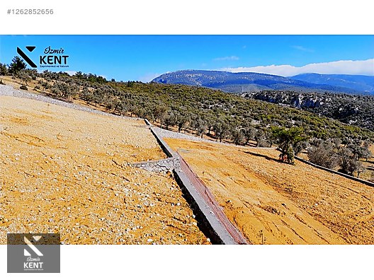 Kemalpaşa Ansızca Satılık 1406 m2 Bahçe - İZMİR KEMALPAŞA fotoğraf 38