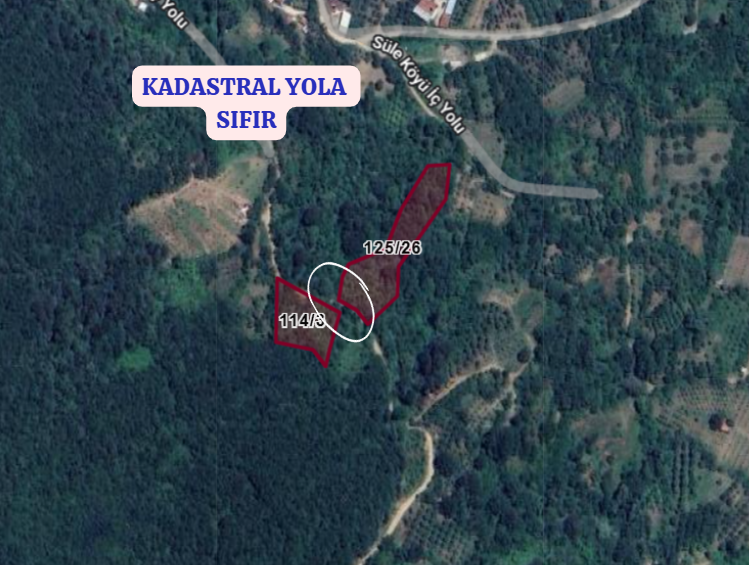 BURSA İNEGÖL SÜLE  KÖYÜNDE 1.676 M² MEYVE BAHÇESİ  SATILIKTIR - BURSA İNEGÖL fotoğraf 4