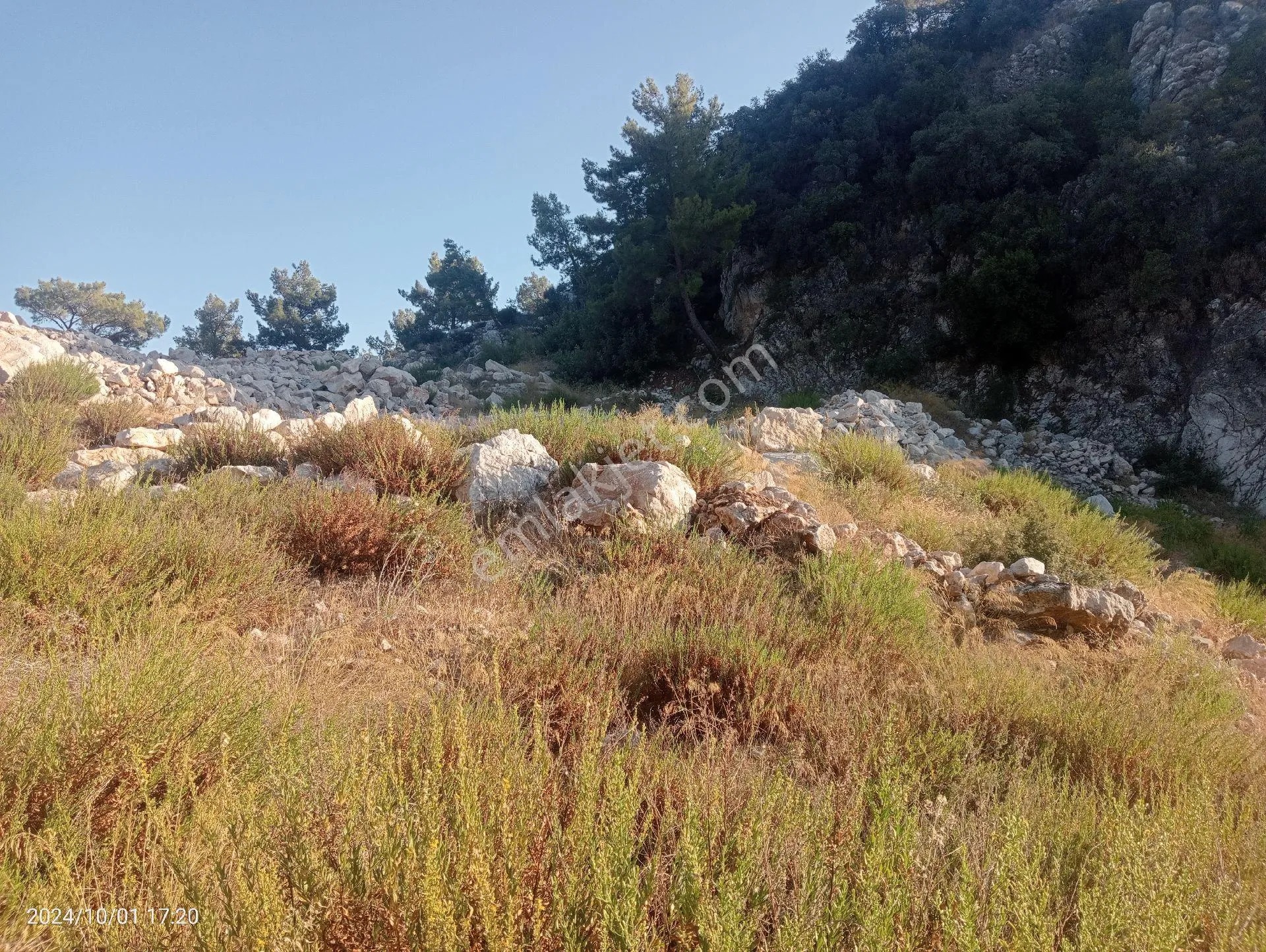 Antalya Kumluca Mavikent'te Satılık Tarla İnceoğlu Emlak - ANTALYA KUMLUCA fotoğraf 34