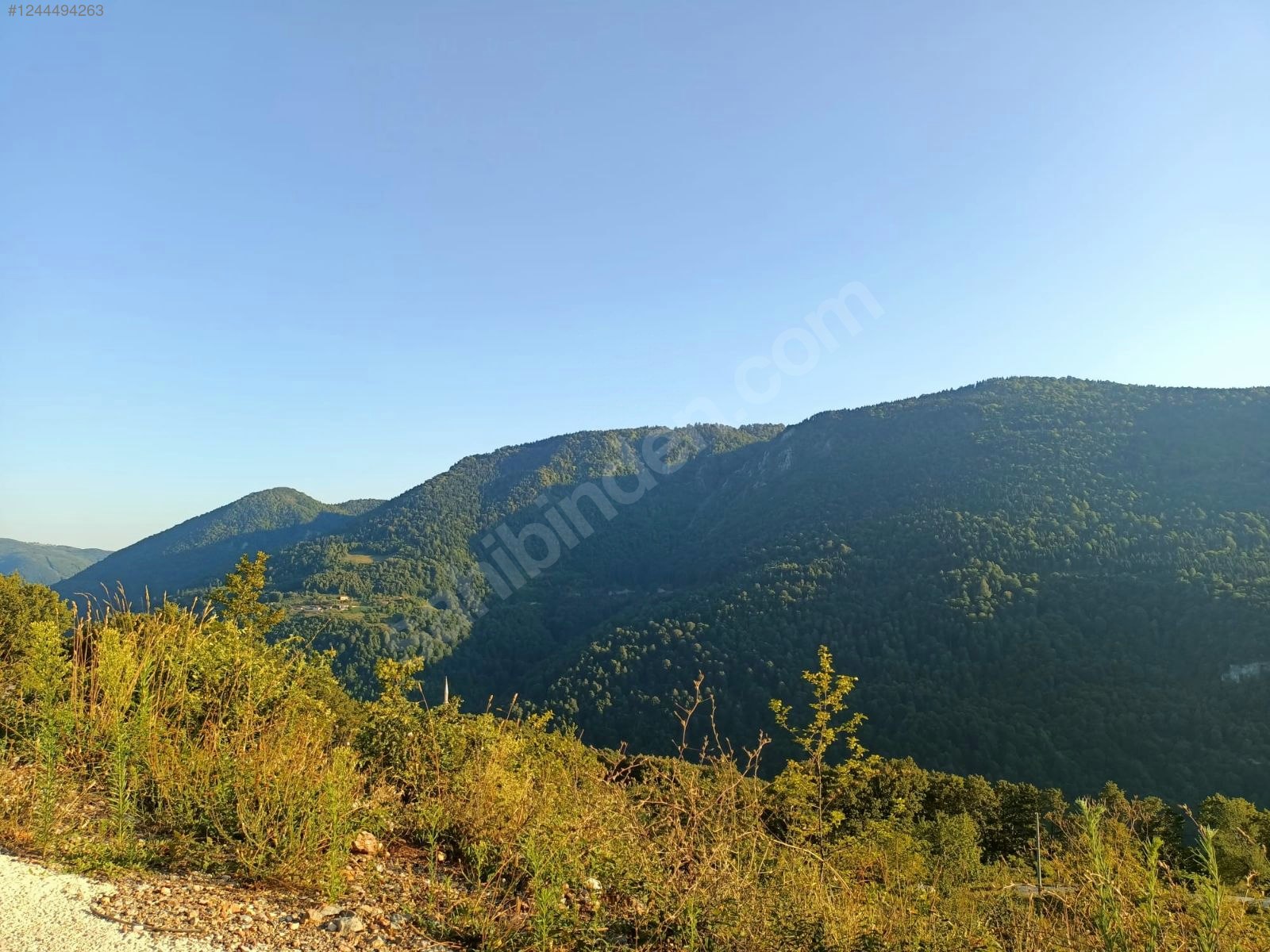 İlan Resmi