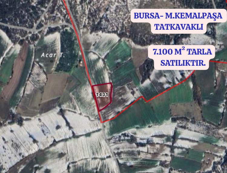 BURSA M.KEMALPAŞA TATKAVAKLI   KÖYÜNDE  7.100 M² TARLA SATILIKTIR. - BURSA MUSTAFAKEMALPAŞA fotoğraf 2