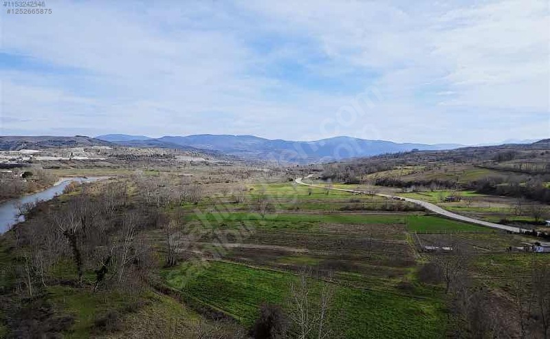 BURSA M.KEMALPAŞA KAPAKLIOLUK  314 M² BAHÇESİ SATILIKTIR. - BURSA MUSTAFAKEMALPAŞA fotoğraf 7