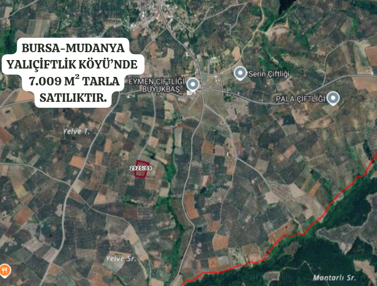 BURSA MUDANYA YALIÇİFTLİK KÖYÜ’NDE 7.009 M²  TARLA SATILIKTIR - BURSA MUDANYA fotoğraf 2