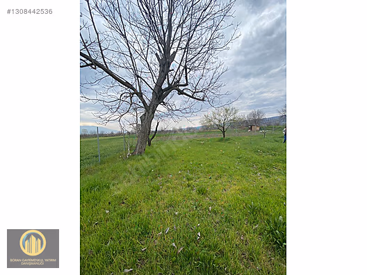 KUCUK YENICEDE RESMI YOLA CEPHE HOBI BAHCESI - BURSA İNEGÖL fotoğraf 7