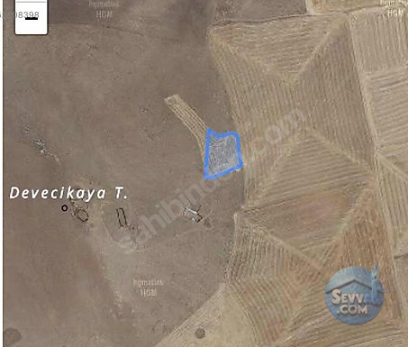 Konya / Cihanbeyli / Sığırcık Mh. 3750m2 satlik tarla - KONYA CİHANBEYLİ fotoğraf 2