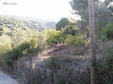 BİTİŞİK MAHALLESİNDE İMARA AÇIK  1.100 m² ARSA   - HATAY İSKENDERUN fotoğraf 2