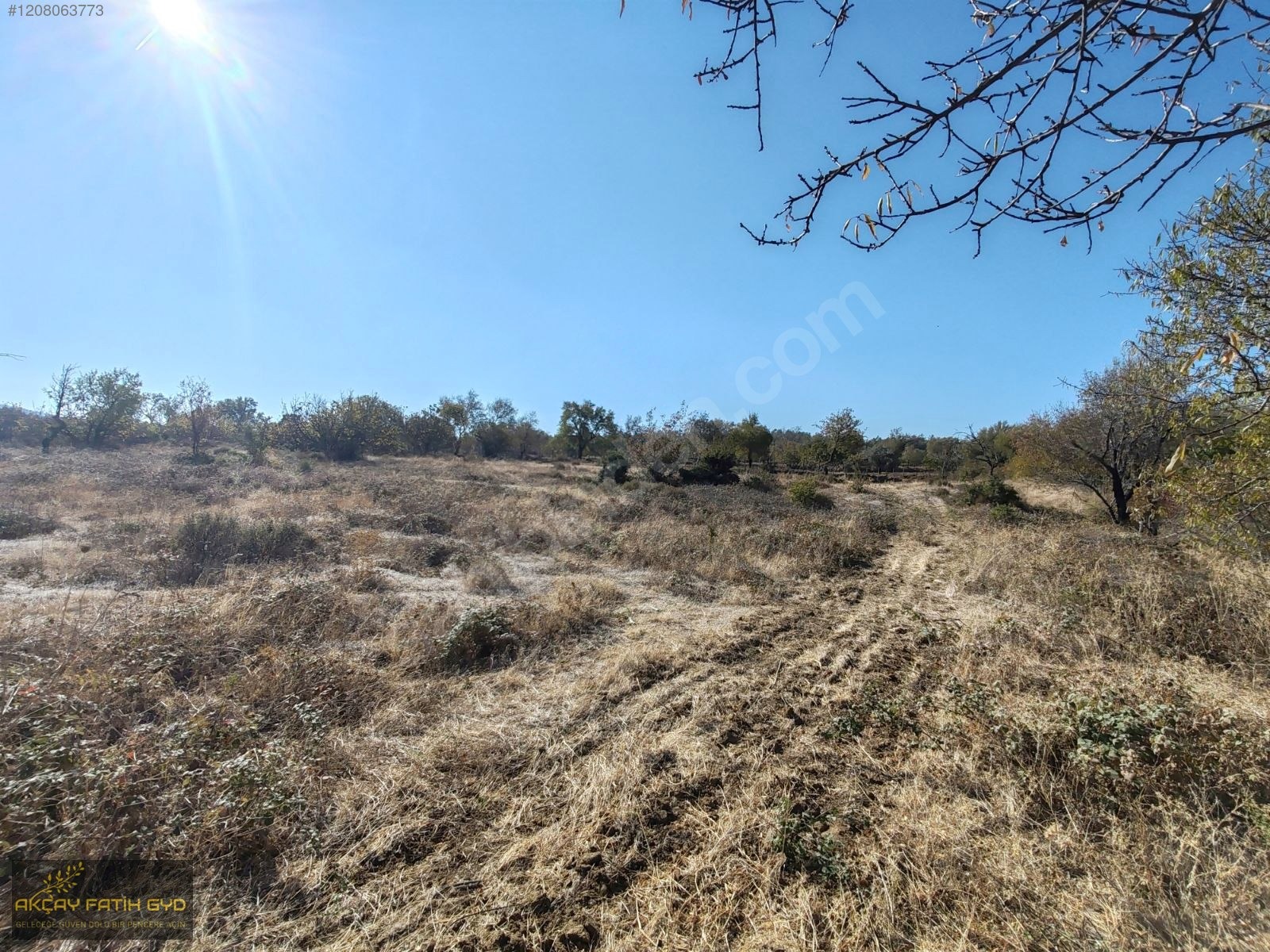 HAVRAN FAZLICA da 3,65 DÖNÜM SATILIK FIRSAT TARLA - BALIKESİR HAVRAN fotoğraf 31