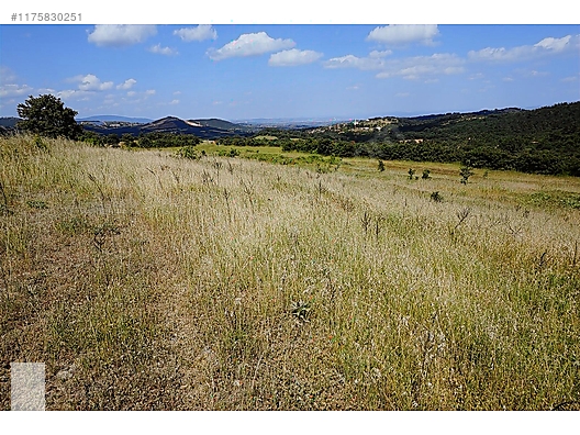 ÇANAKKALE BAYRAMİÇ MURATLAR KÖYÜ 45.000 m2 TARLA - ÇANAKKALE BAYRAMİÇ fotoğraf 25