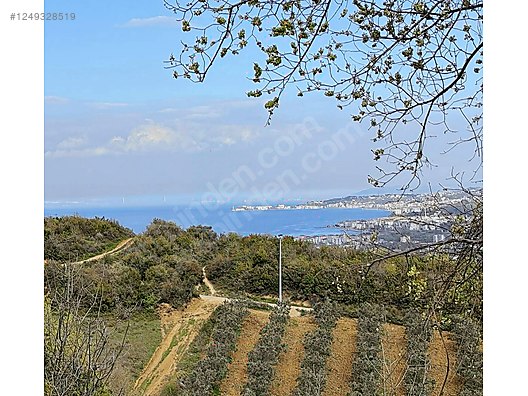 YALOVA ÇINARCIK ŞENKÖY'DE 332  M²  ARSA SATILIKTIR - YALOVA ÇINARCIK fotoğraf 7