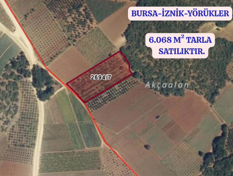 BURSA İZNİK YÖRÜKLER KÖYÜNDE 6.068 M TARLA SATILIKTIR - BURSA İZNİK fotoğraf 2