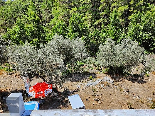 AHIRTAŞ'TA ORMANA SIFIR 4.065 m² TEK TAPU TARLA VE AHŞAP EV İLE - ANTALYA DÖŞEMEALTI fotoğraf 22