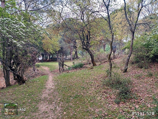 BERGAMA KOZAK YAYLASI YUKARIBEY MAH DE 5625 m2 FISTIKLIK - İZMİR BERGAMA fotoğraf 4