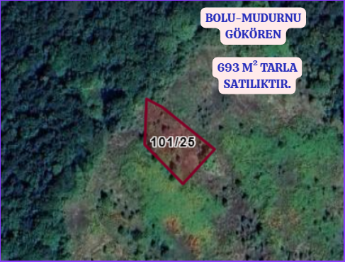 BOLU MUDURNU GÖKÖREN KÖYÜ 693M² TARLA SATILIKTIR - BOLU MUDURNU fotoğraf 3