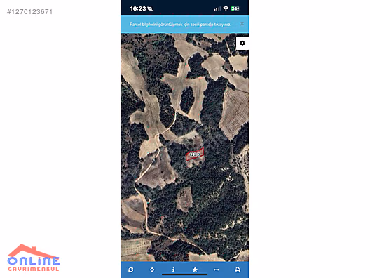 BİLECİK YENİPAZAR ESENKÖY 911 M2 ARAZİ - BİLECİK YENİPAZAR fotoğraf 3