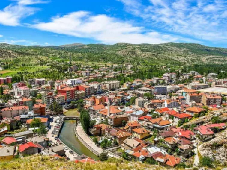 KONYA BOZKIR HAMZALAR KÖYÜNDE 2.022M² BAĞIMIZ SATILIKTIR. - KONYA BOZKIR fotoğraf 11