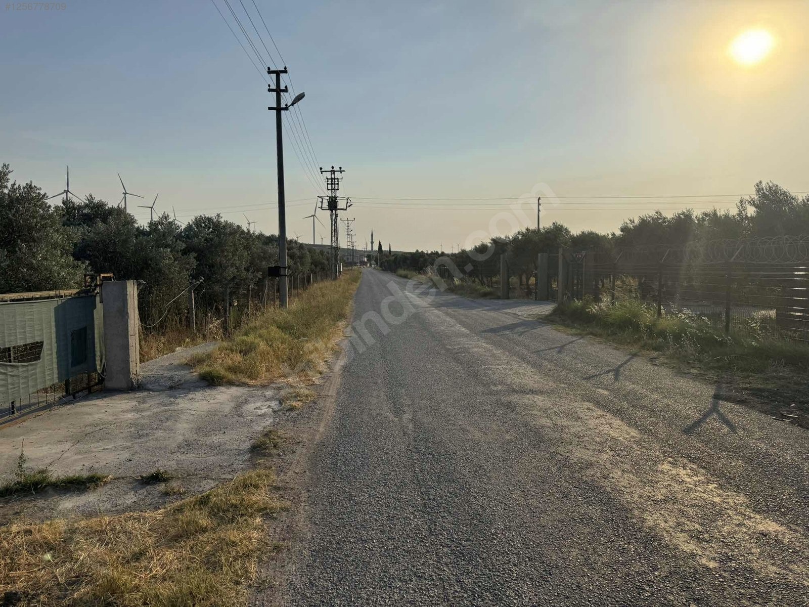 DOSTLARDAN BEKİRLER GİRİŞİNDE SATILIK ZEYTİNLİK - MANİSA AKHİSAR fotoğraf 8