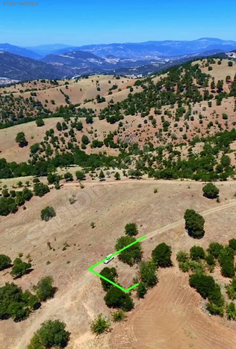 BALIKESİR DURSUNBEY HONDULAR  KÖYÜNDE 191 M² TARLA SATILIKTIR - BALIKESİR DURSUNBEY fotoğraf 6