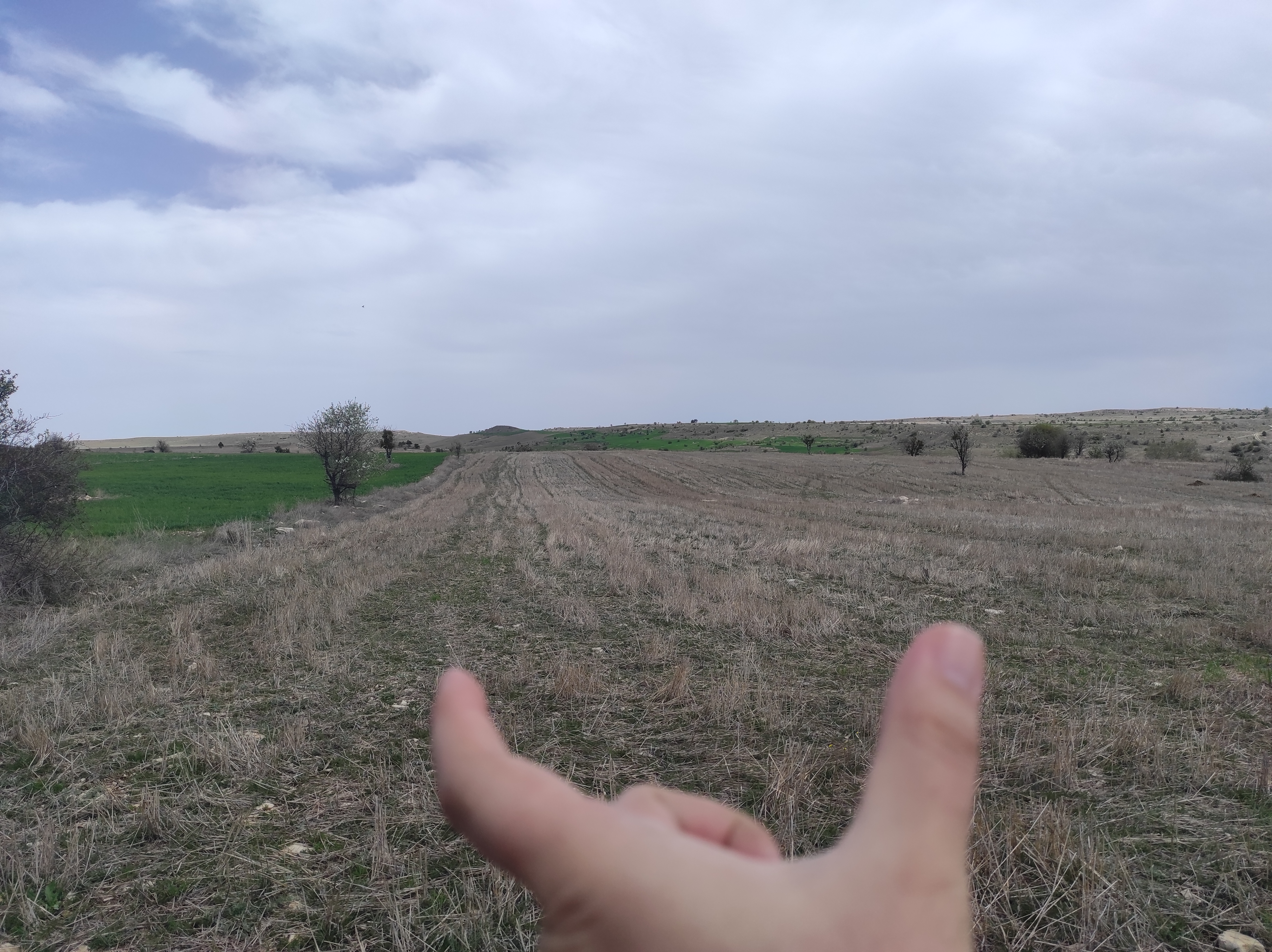 KÜTAHYA MERKEZ KÜKÜRT   KÖYÜNDE 3.353  M²  TARLA  SATILIKTIR - KÜTAHYA MERKEZ fotoğraf 4