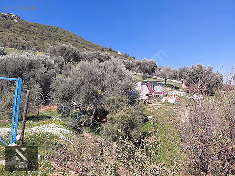 Kemalpaşa Soğukpınar İmar Gelişim Alanında Satılık 2,877m2 Bahçe - İZMİR KEMALPAŞA fotoğraf 30