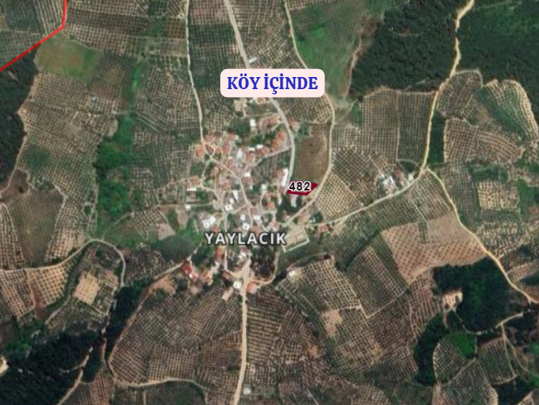 BURSA MUDANYA YAYLACIK KÖYÜNDE YAYLACIK 792 M² ZEYTİNLİK SATILIKTIR. - BURSA MUDANYA fotoğraf 5