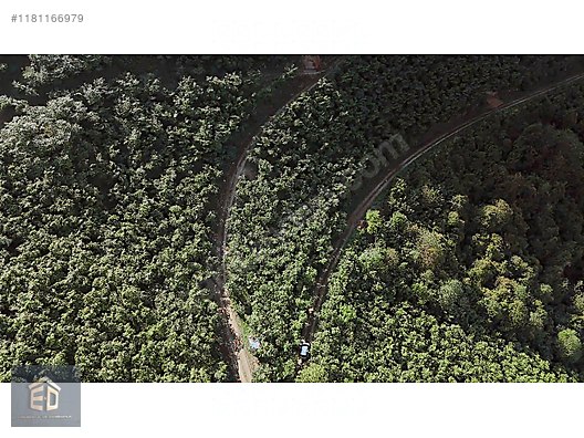 YOMRA GÜLYURDUN'DA SATILIK 6.298M2 ARSA - TRABZON YOMRA fotoğraf 8
