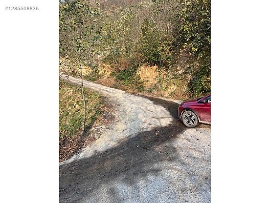 ESPİYE SATILIK BAHÇE 2650 MK HACIMAHMUTLU KÖYÜ ŞEHRE 15 DK - GİRESUN ESPİYE fotoğraf 7