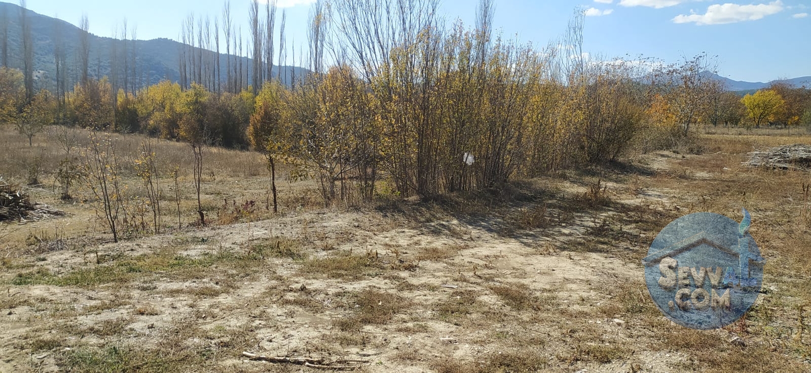 AĞLASUN YAZIR KÖYÜNDE ASFALT CEPHE FIRSAT ARAZİ - Burdur Ağlasun fotoğraf 12
