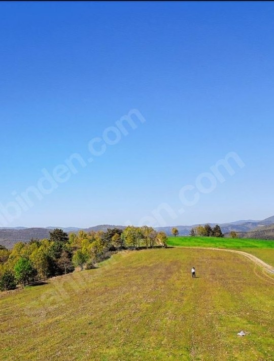 BURSA İZNİK SANSARAK  8.660  M² TARLAMIZ SATILIKTIR - BURSA İZNİK fotoğraf 9