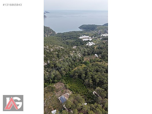 Doğanın İçinde, Deniz Gören, Elektrik ve Suyu Hazır Fırsat Arazi - ANTALYA KUMLUCA fotoğraf 16