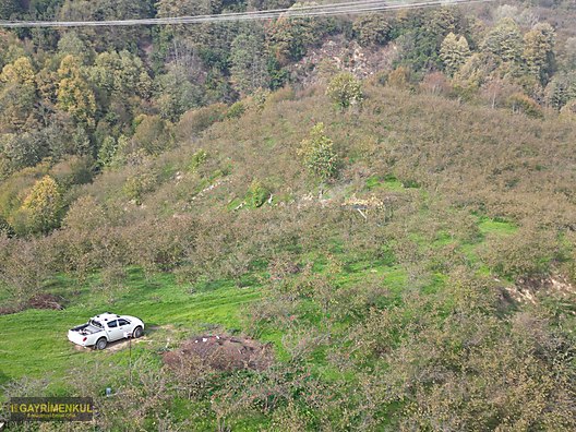 FIRSAT SAKARYA KARAPÜRÇEK İNÖNÜDE EV VE 16 DÖNÜM FINDIK BAHÇESİ - SAKARYA KARAPÜRÇEK fotoğraf 33