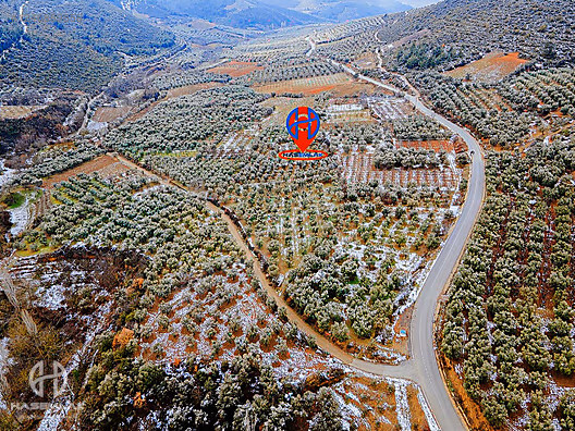 BÖLGE UZMANI HAS EMLAK tan SATILIK TEK TAPU ARAZİ - BURSA İZNİK fotoğraf 15
