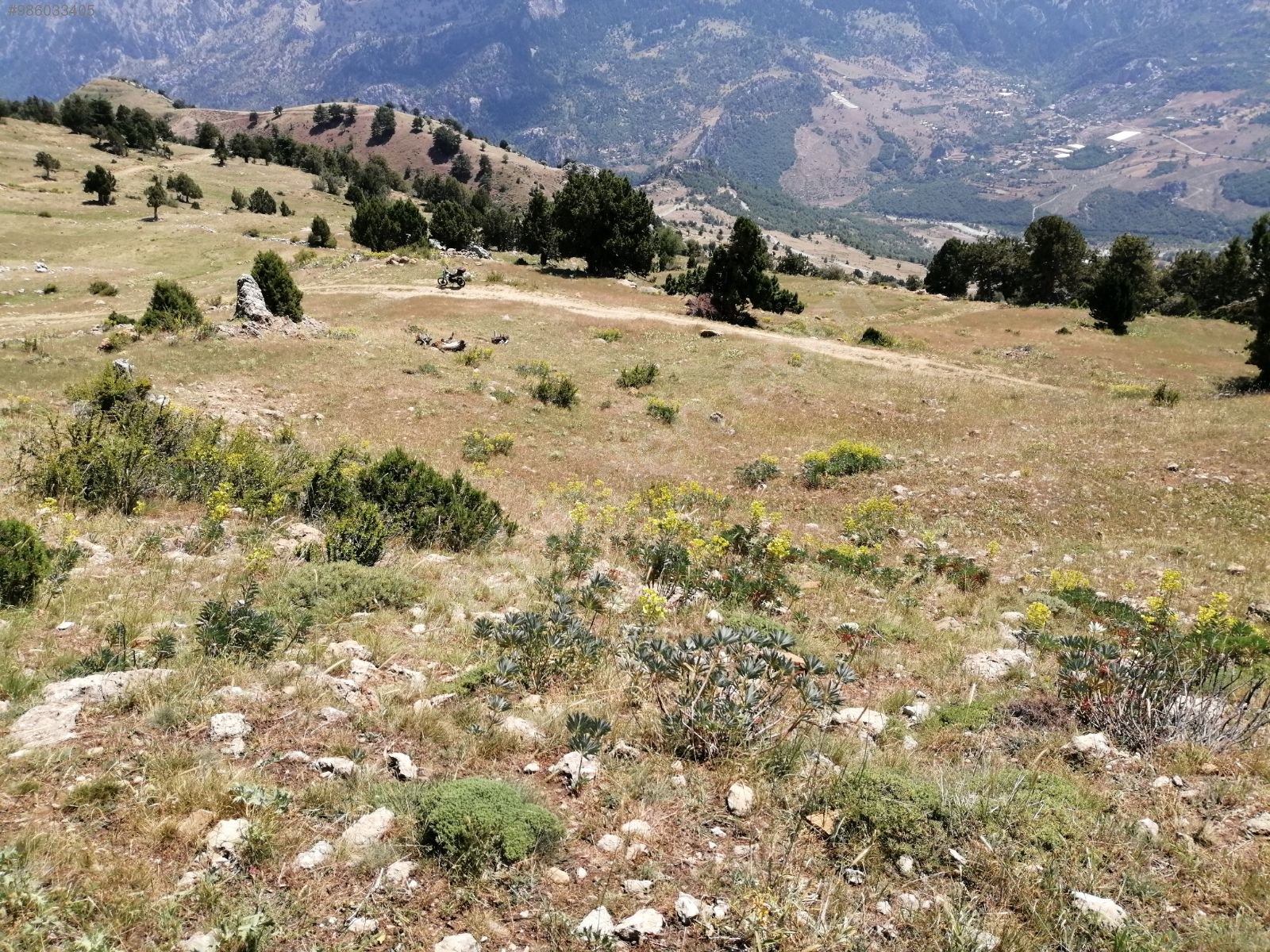 Meyva Bahçesi Yapmaya uygun İmamlı Yaylasında Tarla 1.793 m² ANTALYA ALANYA - ANTALYA ALANYA fotoğraf 11