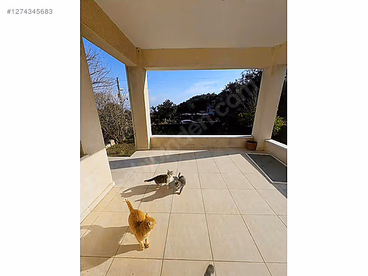 MÜSTAKİL EŞYALI KİRALIK TRİBLEX - HATAY ANTAKYA fotoğraf 7
