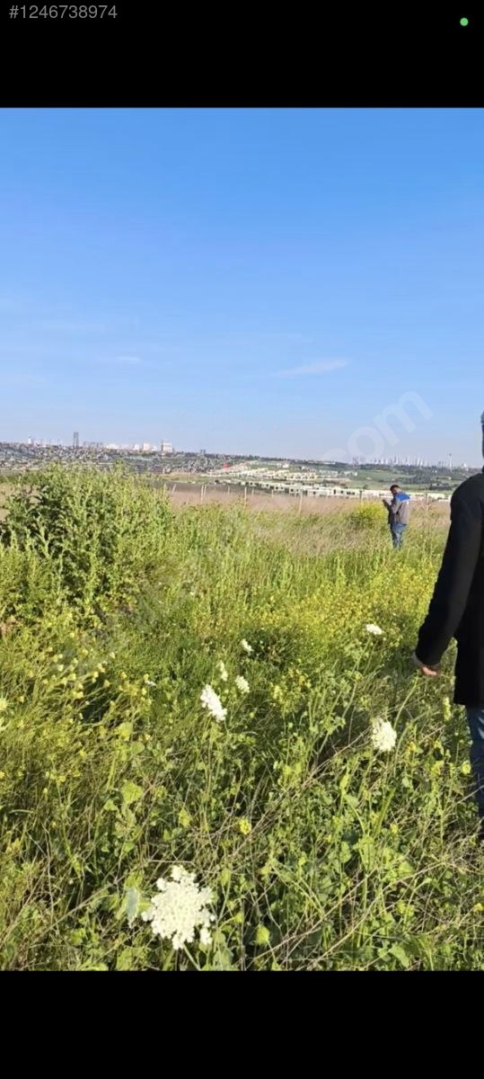 sahibinden satılık arsa yer Büyük çekmece - İSTANBUL BÜYÜKÇEKMECE fotoğraf 5
